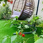 Ivy, 4 Minutes From The Sea *