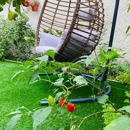 Ivy, 4 Minutes From The Sea *