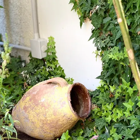 Ivy, 4 Minutes From The Sea Apartment Chania (Crete)