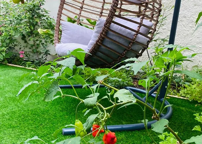 Ivy, 4 Minutes From The Sea *