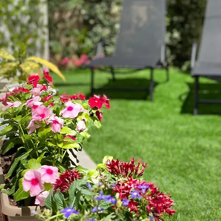 Apartment Ivy, 4 Minutes From The Sea