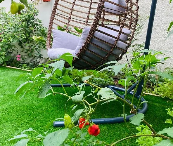 Ivy, 4 Minutes From The Sea *