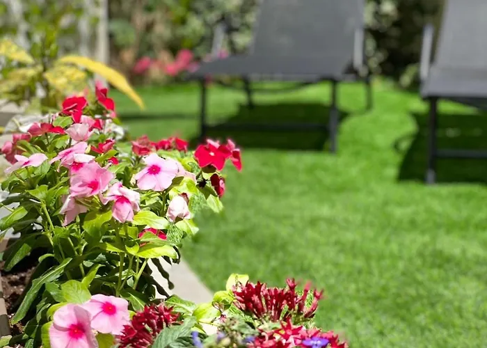 Apartamento Ivy, 4 Minutes From The Sea