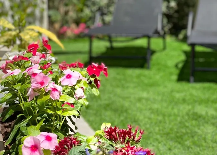 Ivy, 4 Minutes From The Sea